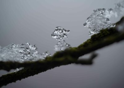 Makro billede af en dråbe. Skarpt fotografi taget af Anders Dissing